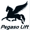 Фирма «Pegaso srl» представляет собой промышленное предприятие, расположенное в Италии, в области Венето